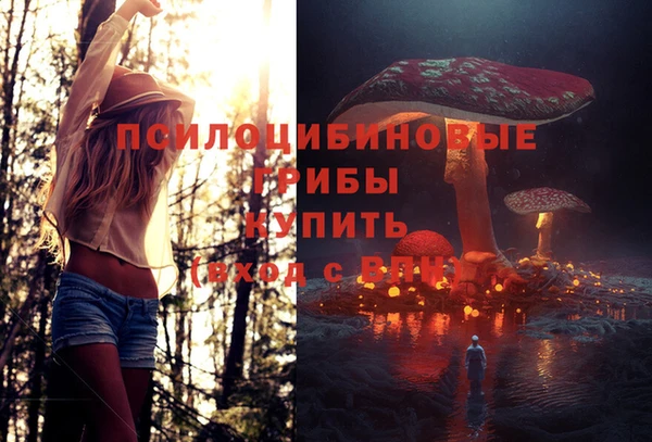 соль ск Абаза